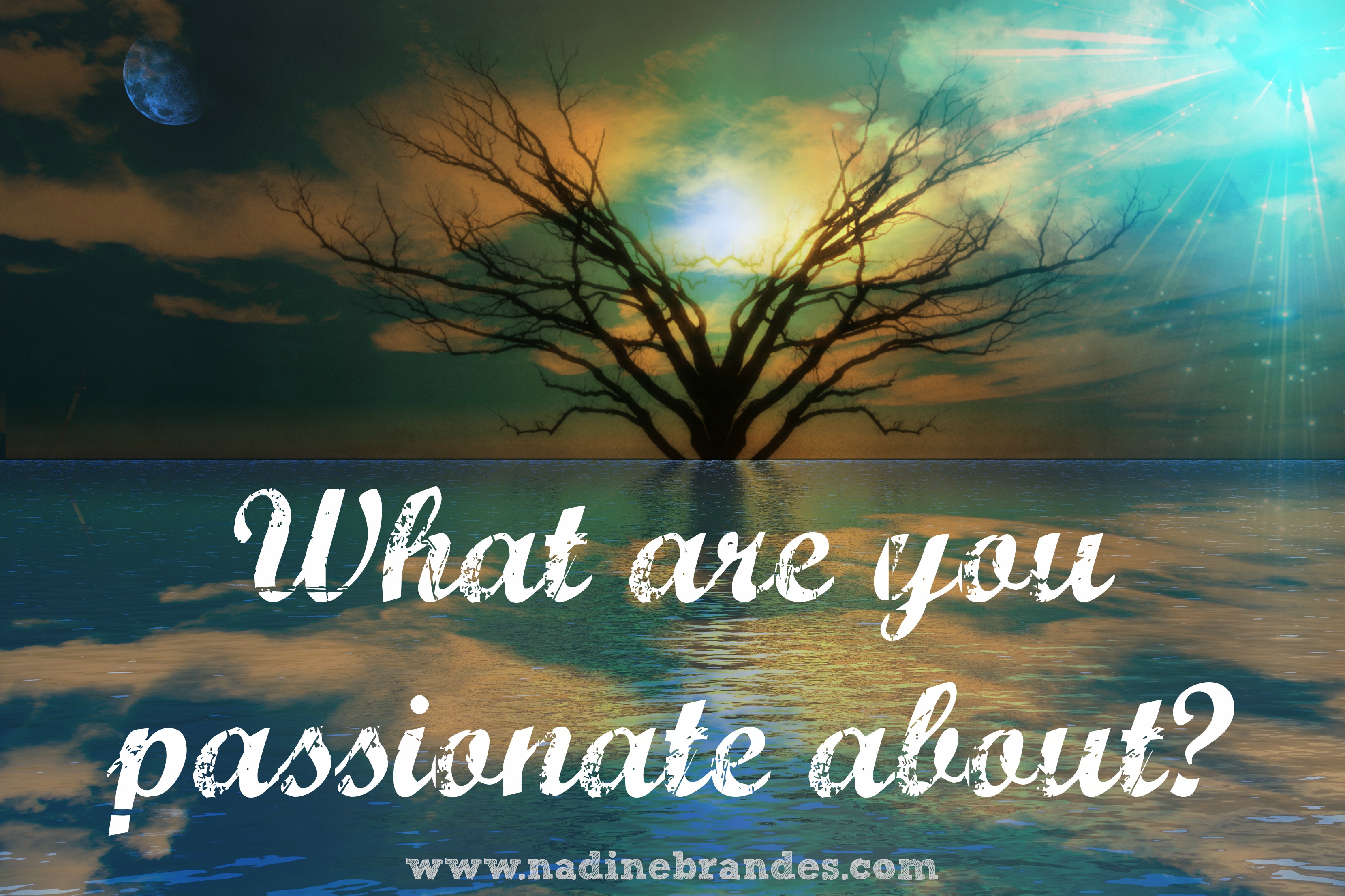 what-are-you-passionate-about-nadine-brandes