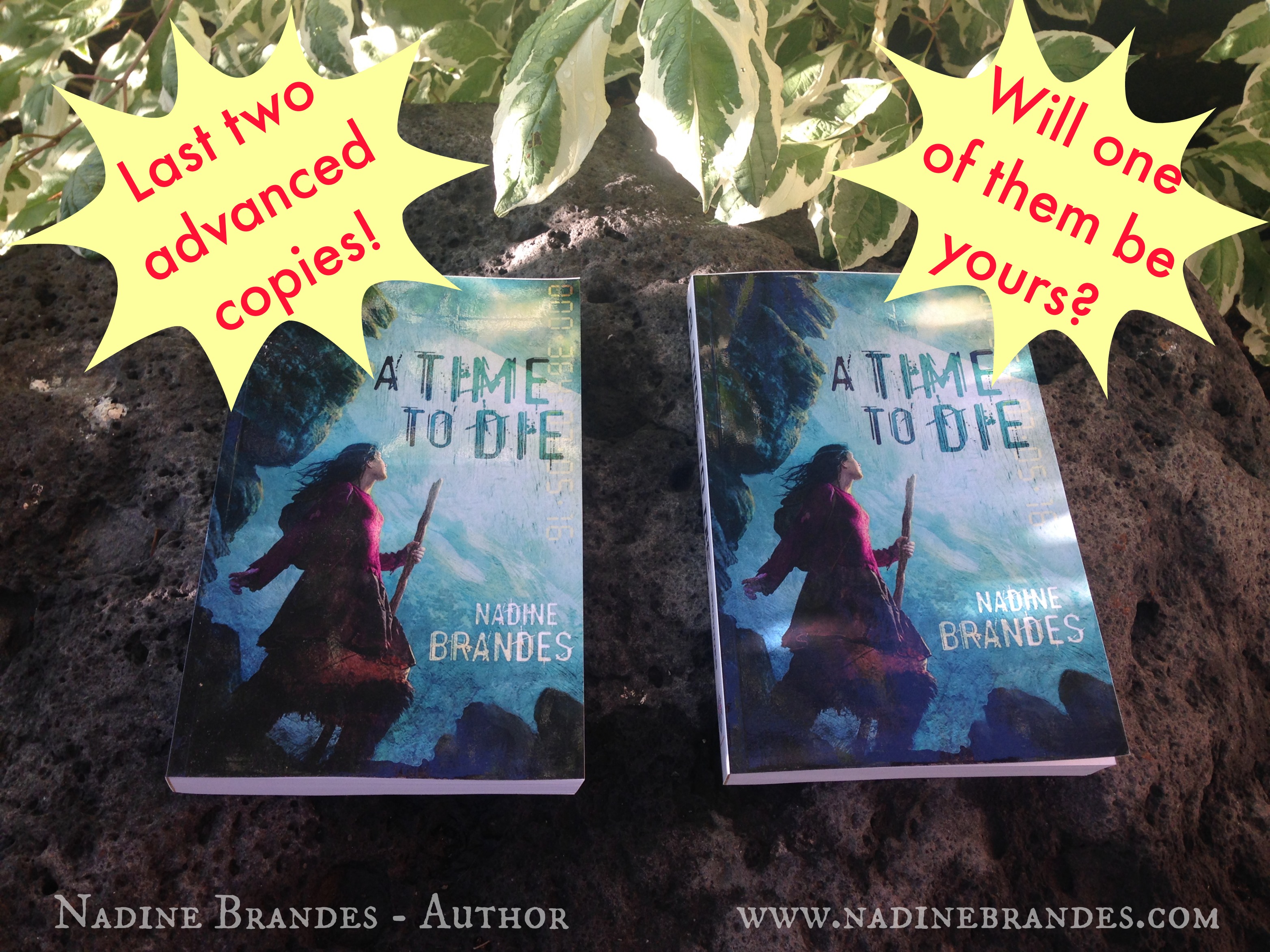 A Time to Die by Nadine Brandes