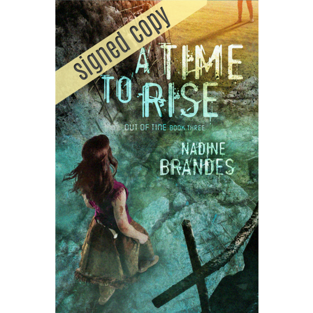 a time to rise nadine brandes a time to rise nadine brandes